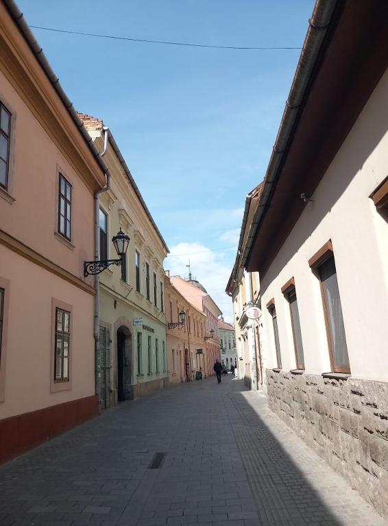 Egri belváros macskaköves utcája