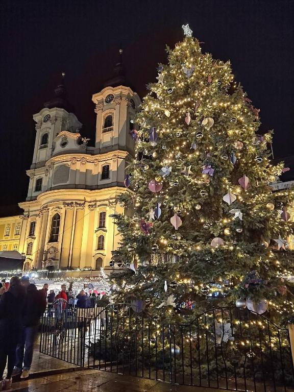 Egri adventi karácsonyfa
